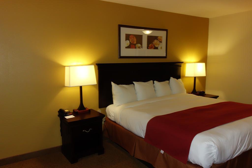 Comfort Inn & Suites Rome South Exteriör bild